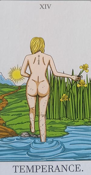 Shuffle Tarot – XIV La Templanza